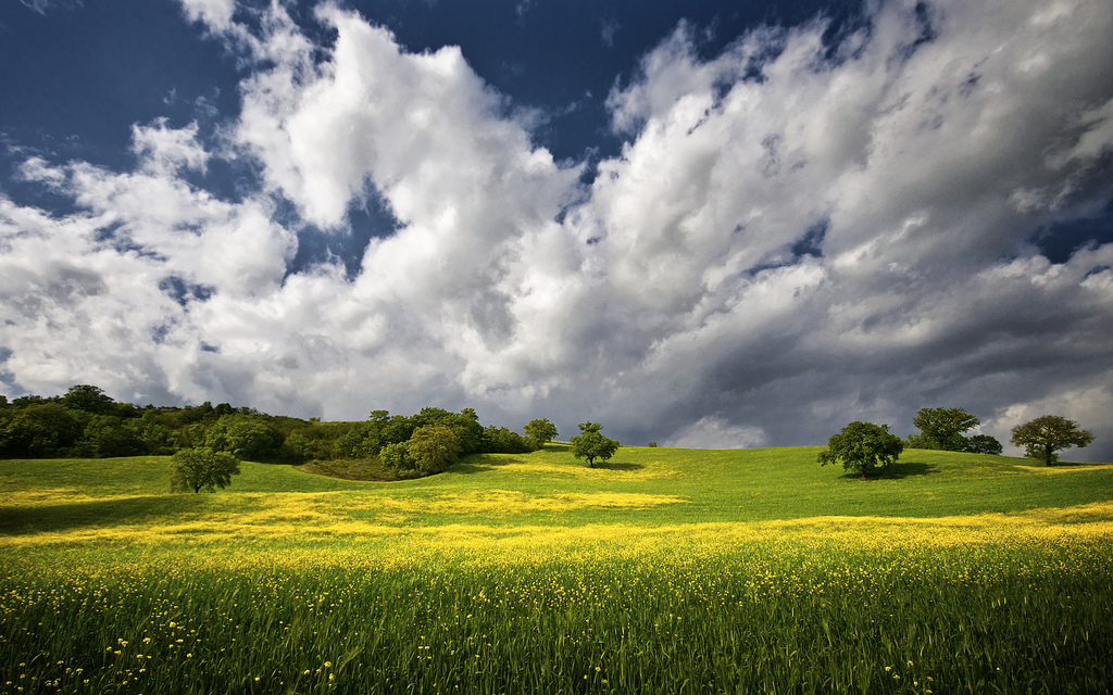 A Peaceful Tuscany Villa Holiday - Tuscany